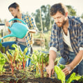 The Benefits and Challenges of Self-Sustaining Farming