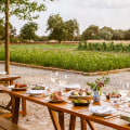 Exploring The Best Farm To Table Experiences Near Los Angeles On African American Farms