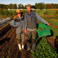 The Perfect Farm Size for Self-Sufficiency: Insights from a Sustainable Farming Expert