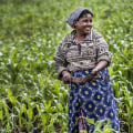 How Dr. Bill Releford's Positive Impact Farming Practices Empower African American Farmers