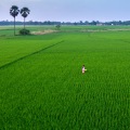 The Growing Trend of Small Personal Farms