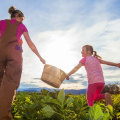 Experience The Best Farm Tours Near Los Angeles At African American Farms