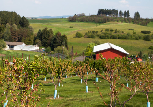 How Organic Agricultural Farm Tours & Wellness Near Los Angeles Benefit African American Health