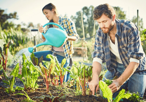 The Benefits and Challenges of Self-Sustaining Farming