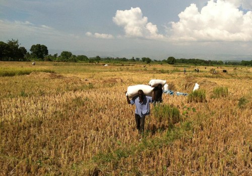 The Role of Small Farms in Promoting Sustainable Agriculture