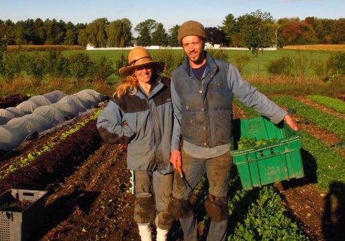 The Perfect Farm Size for Self-Sufficiency: Insights from a Sustainable Farming Expert