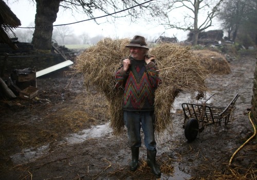 The Rise of Peasant Farming: A Sustainable Alternative to Industrial Agriculture