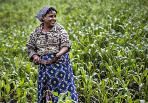 How Dr. Bill Releford's Positive Impact Farming Practices Empower African American Farmers