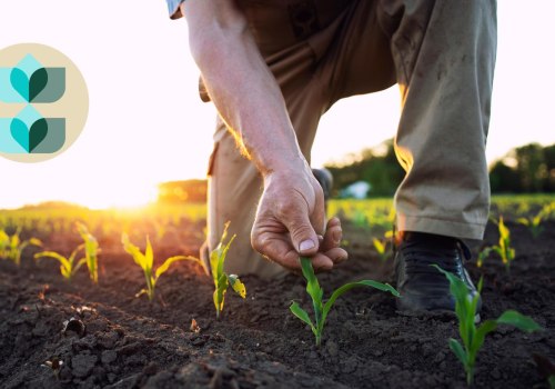 The Profitability of Medium-Sized Farms