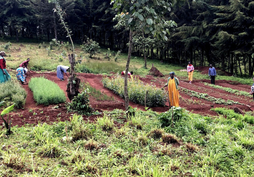 The Vital Role of Small Farms in Agriculture