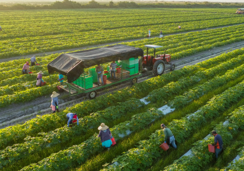 The Fascinating World of Farms: Types and Characteristics