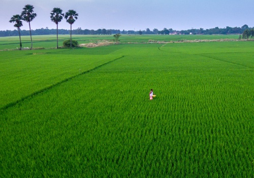 The Importance of Small Farms in the United States