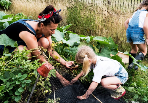 The Joy of Growing Your Own Food: A Guide to Cultivation for Self-Consumption