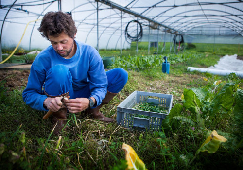 The Power of Self Farming: A Sustainable Solution for Agriculture