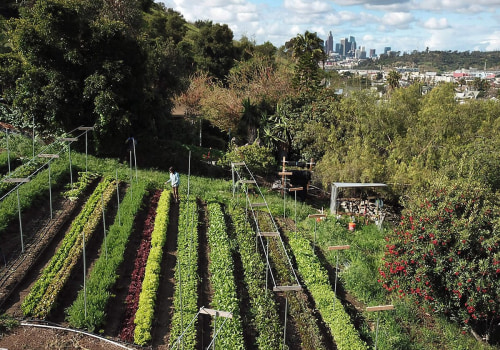 The Impact Of The Largest Black-Owned Organic Farm Ranch Near Los Angeles CA On Local Communities