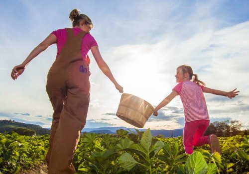 Experience The Best Farm Tours Near Los Angeles At African American Farms