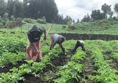 The Advantages of Subsistence Farming